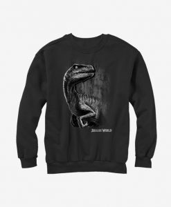 Jurassic Park Sweatshirt EM01