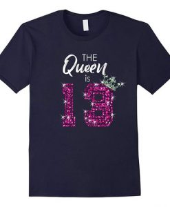 Funny 13 Birthday T-Shirt AV2N