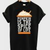 Pumpkin T-Shirt N12EM