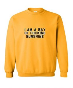 i am a ray of fucking sweatshirt N22AY