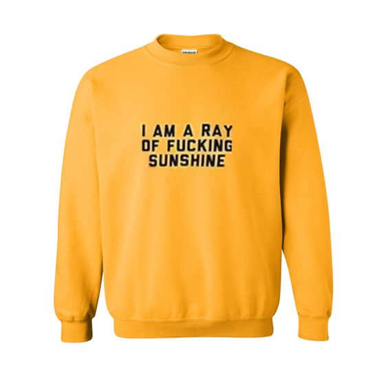 i am a ray of fucking sweatshirt N22AY