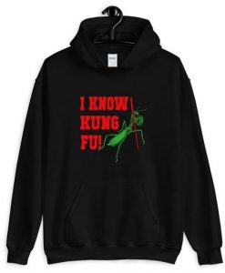 I Know Kung Fu Hoodie AS15AG0