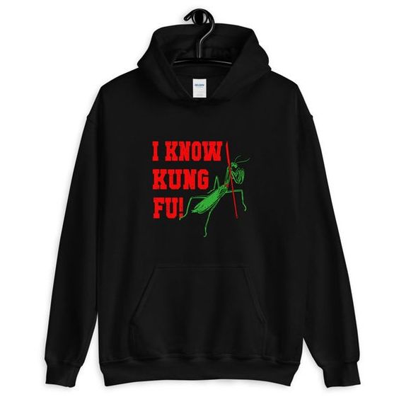 I Know Kung Fu Hoodie AS15AG0
