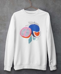 Fruit Abstract Sweatshirt TK4S0