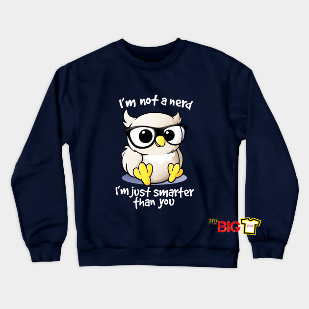 Cute Owl Sweatshirt SR27N0