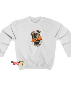 Cool dog sweatshirt SY17JN1