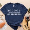 Retired I Work for my Grandkids T-Shirt AL