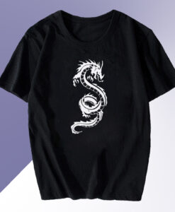 Dragon Aesthtetic T-shirt